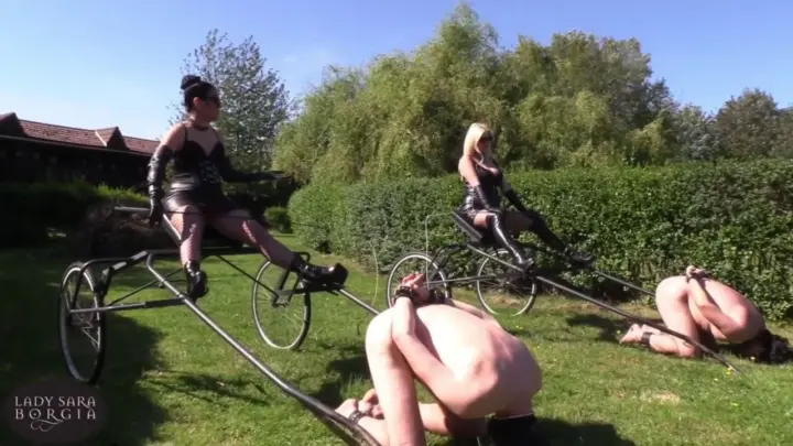 Lady Sara Borgia Femdom Clips – Mistress At The Owk Bundle