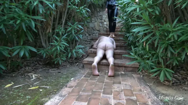 Mistress Gaia Trampling Friends