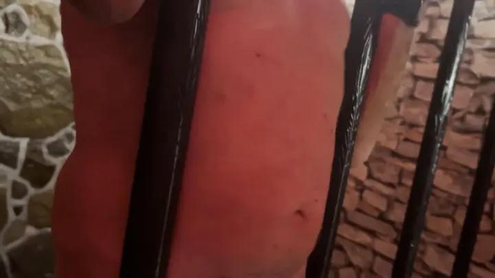 Stapana Zeida Dfc – Brutal Prison Cbt – Single Tail Whipping His Dick